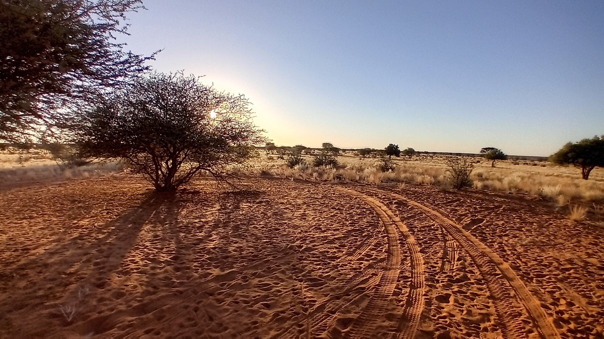 Namibia: Kalahari im „Kuzikus“