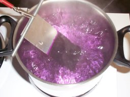 chd_20090504_2076702920