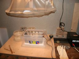 Eloxieren - Anodisieren &raquo; Werkstücke &raquo; Okularauszüge